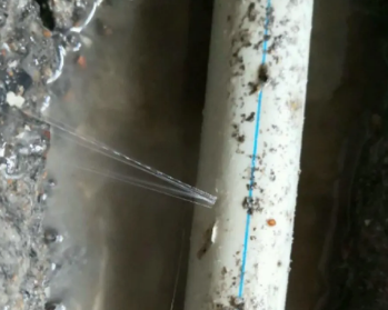 崇阳卫生间测漏水多少钱