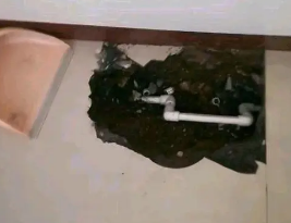 崇阳卫生间测漏水多少钱